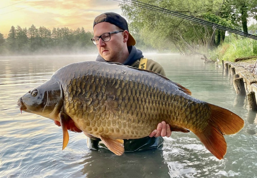 Carp